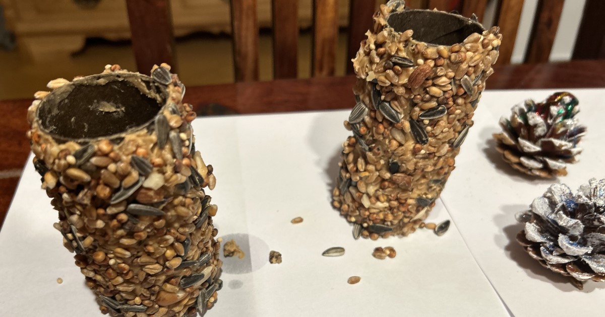 Vogelfutterstation - Die lauten Nachbarn